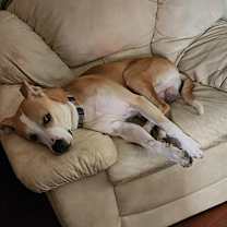 Thumbnail photo of Spike #3