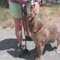 Thumbnail photo of Frankie #2