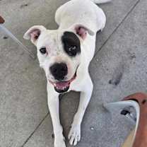 Thumbnail photo of Nate #2