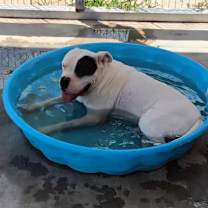 Thumbnail photo of Nate #3