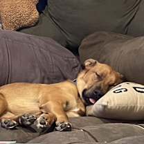 Thumbnail photo of Captain #4