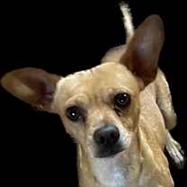 Thumbnail photo of Billy #3