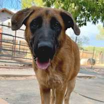 Thumbnail photo of Gunther #1