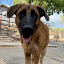 Thumbnail photo of Gunther #2