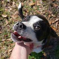 Thumbnail photo of Davina *WAIVED FEE #1