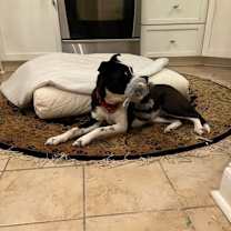 Thumbnail photo of Davina *WAIVED FEE #2