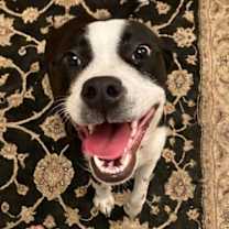 Thumbnail photo of Davina *WAIVED FEE #3