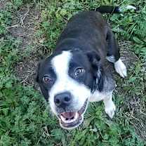 Thumbnail photo of Davina *WAIVED FEE #4