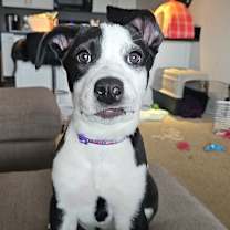 Thumbnail photo of Lexi #2