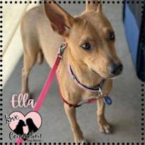 Thumbnail photo of Ella #1