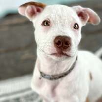 Thumbnail photo of Latte #3