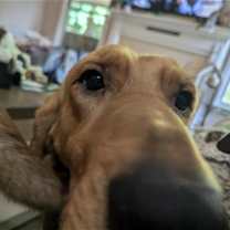Thumbnail photo of Kalina #3