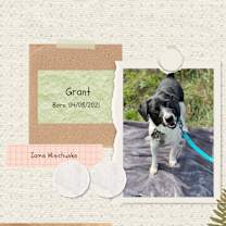 Thumbnail photo of Grant #4