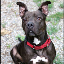 Thumbnail photo of Finster #3