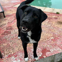 Thumbnail photo of Theodore #1