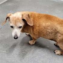 Thumbnail photo of Genevieve Pearl #2