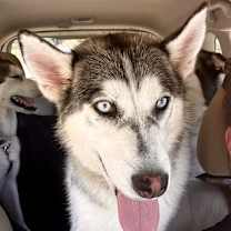 Thumbnail photo of Tasha #1