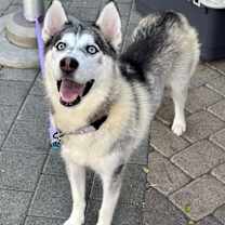 Thumbnail photo of Tasha #2