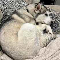 Thumbnail photo of Tasha #3