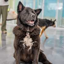 Thumbnail photo of Bear (D) #3