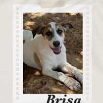 Thumbnail photo of Brisa #2