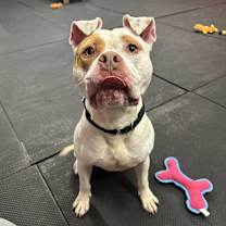 Thumbnail photo of Tito #2