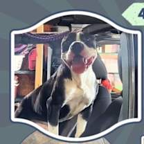 Thumbnail photo of Bennie the Handsome Beefcake #4