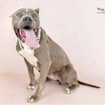 Thumbnail photo of Norma #3