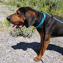 Thumbnail photo of Carter #2