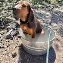 Thumbnail photo of Carter #4