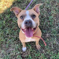 Thumbnail photo of Brocho #4