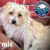 Thumbnail photo of Hermie #3