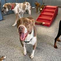 Thumbnail photo of Bernie #3