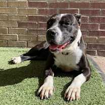 Thumbnail photo of Macy #2