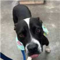 Thumbnail photo of Macy #4
