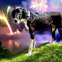 Thumbnail photo of Eloise #2