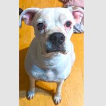 Thumbnail photo of Ryleigh II #1