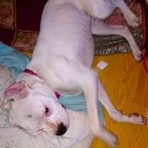 Thumbnail photo of Ryleigh II #3