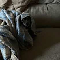 Thumbnail photo of BLANCHE #4