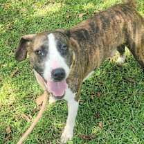 Thumbnail photo of Little Bit #1