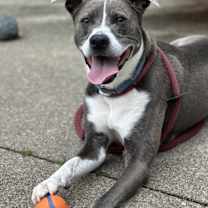 Thumbnail photo of Blue Steele #1