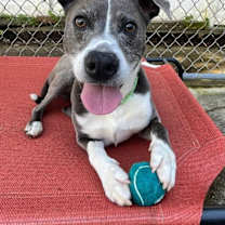 Thumbnail photo of Blue Steele #4