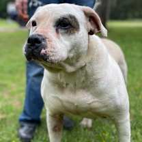 Thumbnail photo of Lady Luck #1