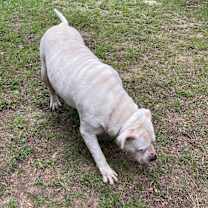 Thumbnail photo of Lady Luck #2