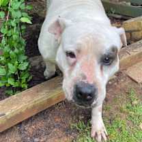 Thumbnail photo of Lady Luck #3