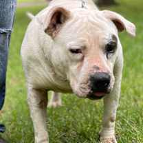 Thumbnail photo of Lady Luck #4