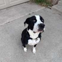 Thumbnail photo of CLOVER #4