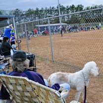 Thumbnail photo of TUCKER #2