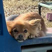 Thumbnail photo of Cameron #3