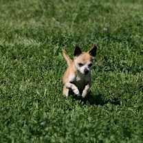 Thumbnail photo of Baby #4